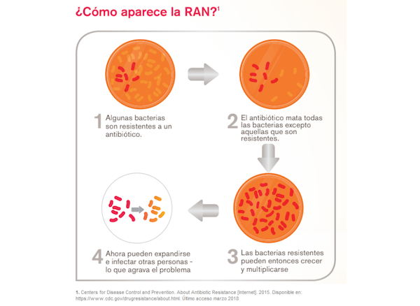 ¿Cómo aparece la RAN?