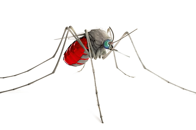 Centro de I+D Tres Cantos 2014 Malaria