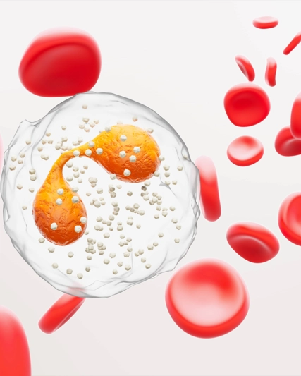 ¿Qué son los eosinófilos y qué papel juegan en nuestro organismo?