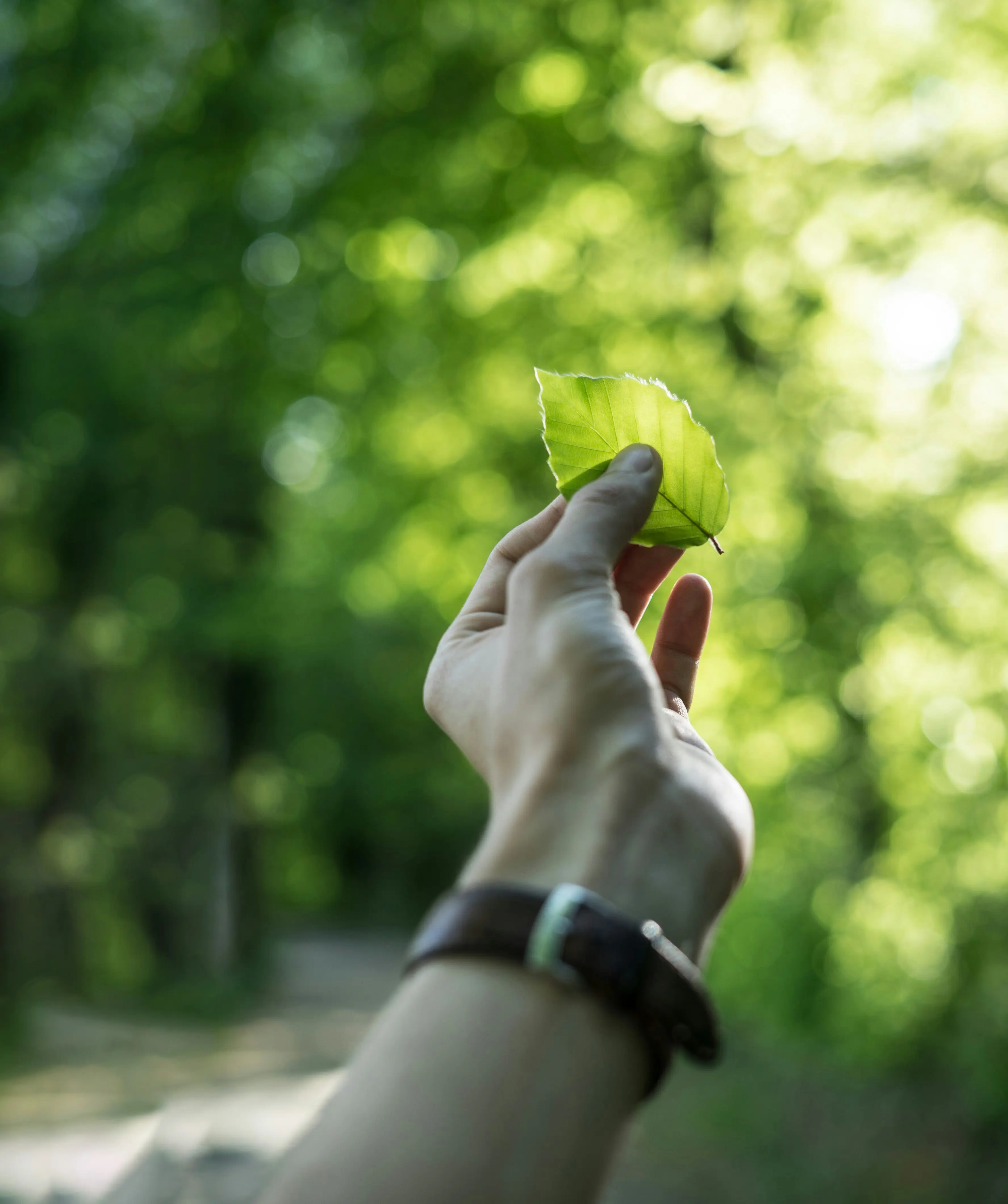 tobias-weinhold-hXPomXrpUP0-unsplash