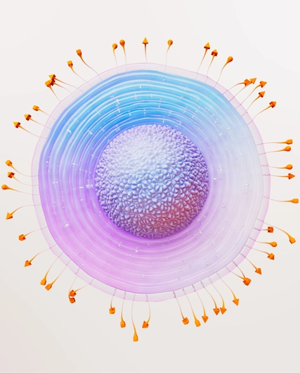 5 cosas que deberías conocer sobre el herpes zóster