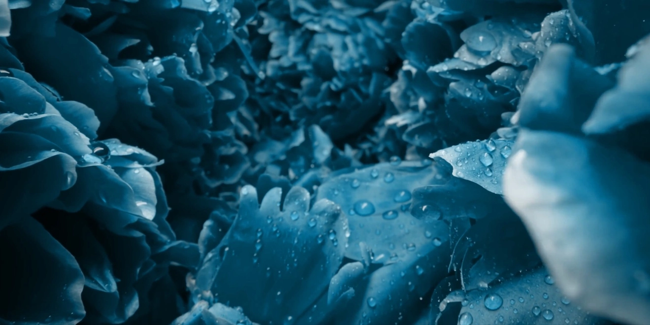 Flores azules en movimiento