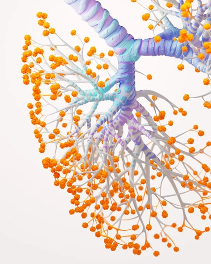 Pulmonesepoc