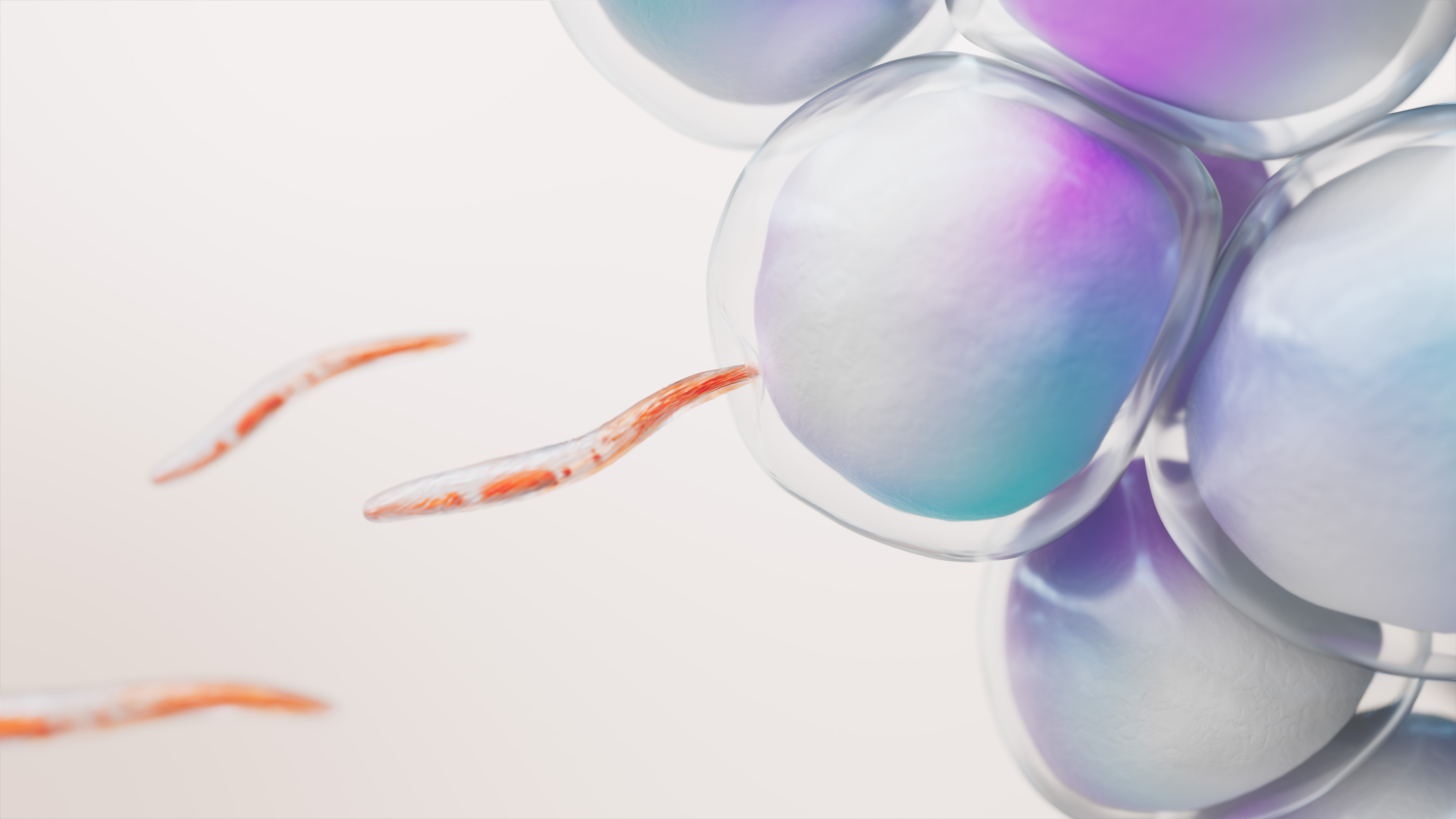 Innovación Responsable