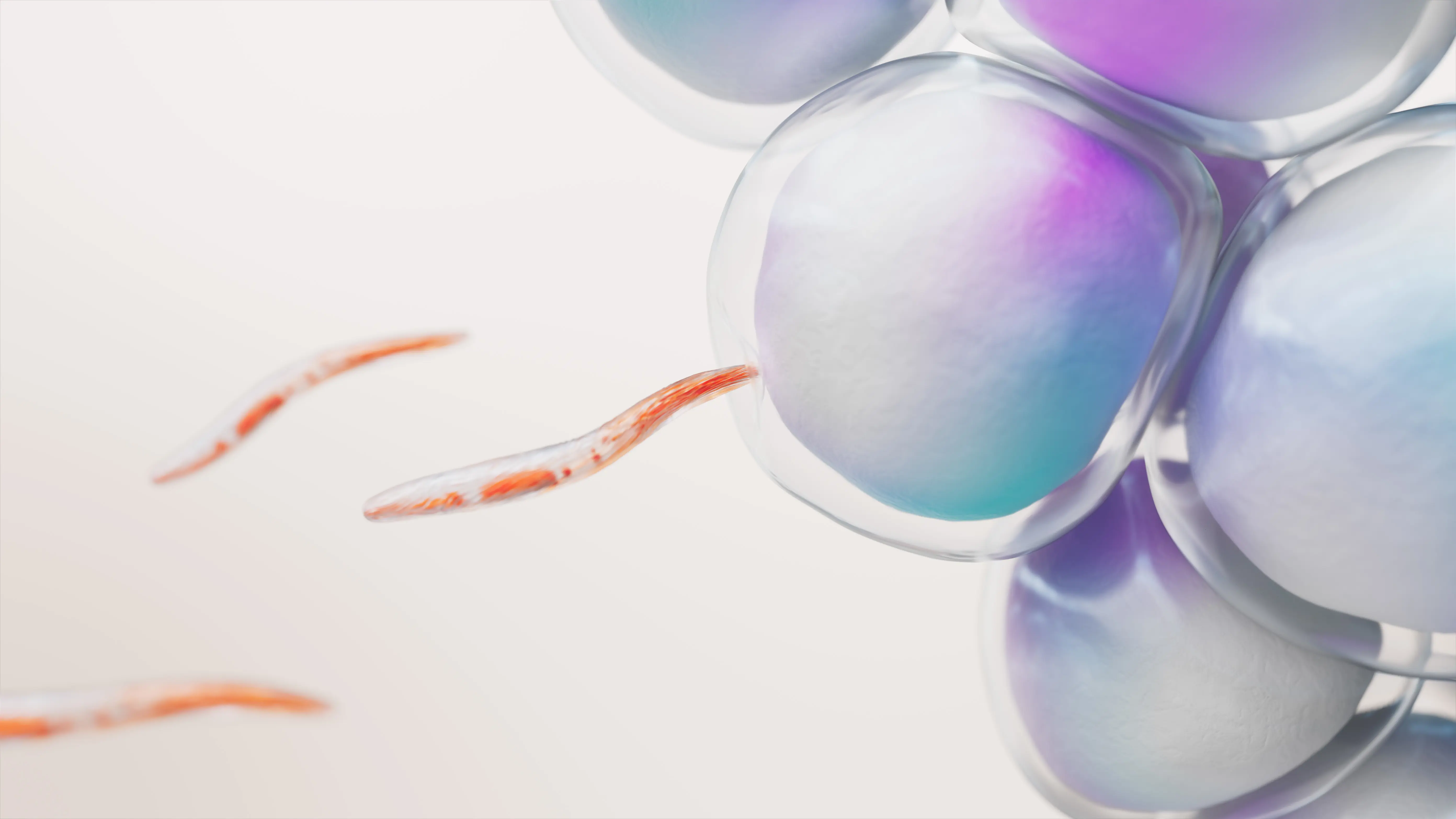 Innovación Responsable