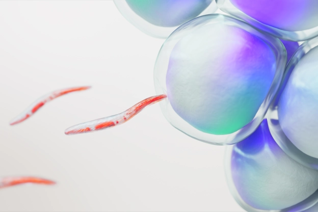 Centro I+D 2022 pipeline