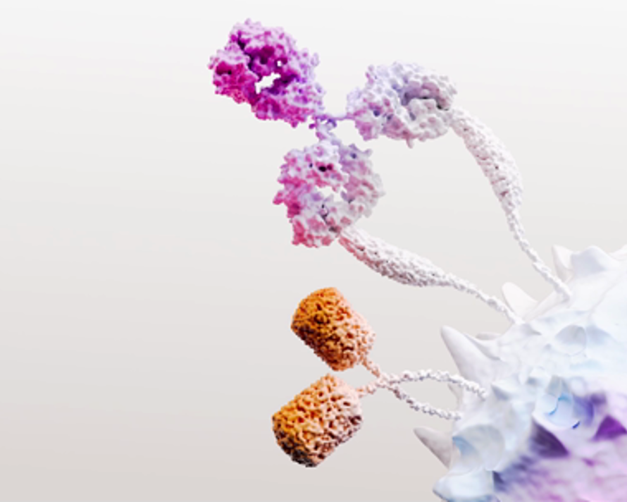 Juntos hacia adelante