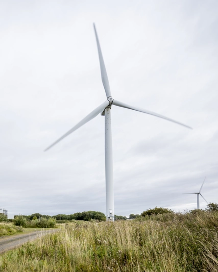 Cuidando del medioambiente cuidamos de ti