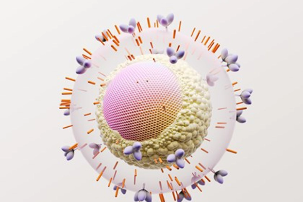 VIH virus