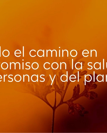 Portada del informe no financiero 2024 españa