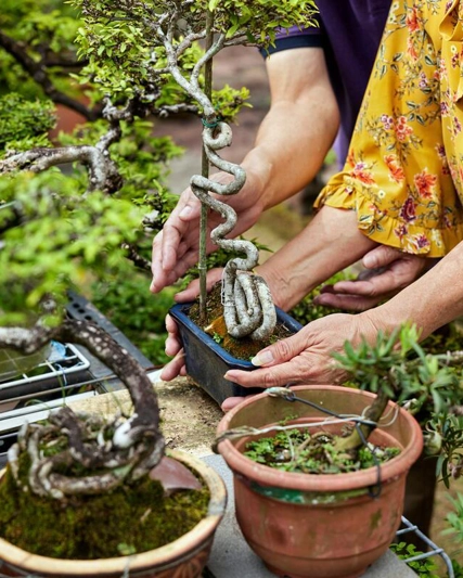 El Concepto Onehealth Planeta Sano